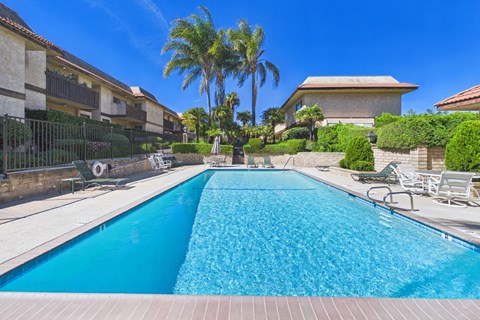 A swimming pool surrounded by palm trees and a building.