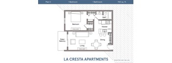 A floor plan for a 700 sq. ft. apartment with one bedroom and one bathroom.