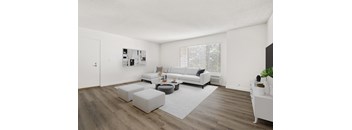 a living room with a white rug and couches