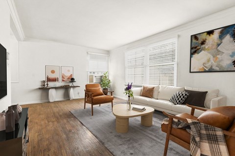 A living room with a brown leather chair and a grey rug.