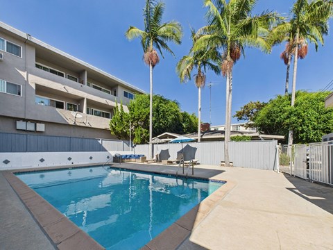 A swimming pool surrounded by palm trees and apartment buildings.