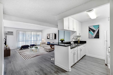 an open living room and kitchen with white cabinets and a rug