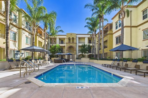 A pool surrounded by palm trees and lounge chairs.