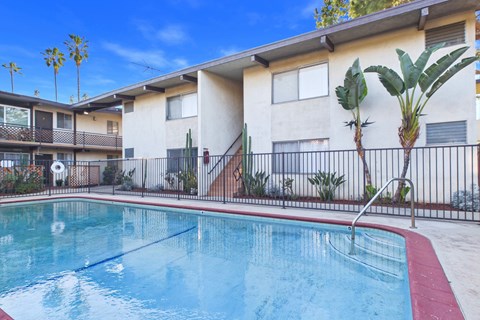 A pool in front of a building with a fence and a palm tree.