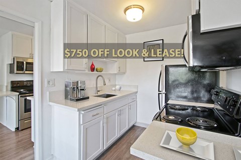 1417 Veteran Avenue Studio Apartment for Rent