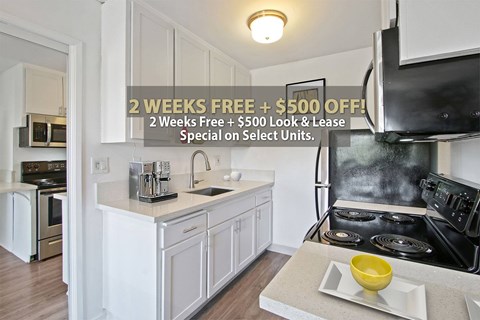 1417 Veteran Avenue Studio-2 Beds Apartment for Rent