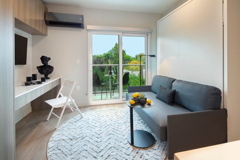 a living room with a gray couch and a white rug