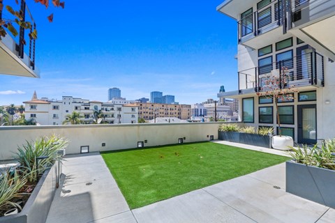 A rooftop garden with a view of the city skyline.