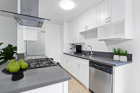 113 N. Gale Drive 2 Beds Apartment for Rent