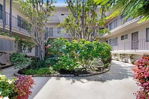 a courtyard with trees and plants in an apartment building