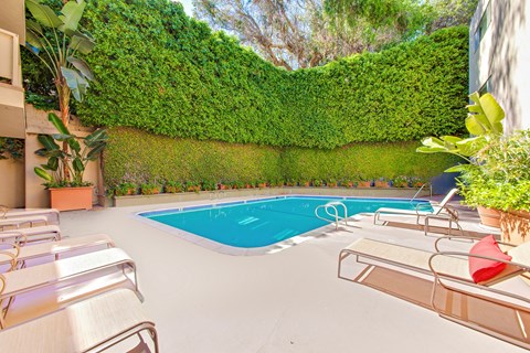A pool surrounded by a green hedge.