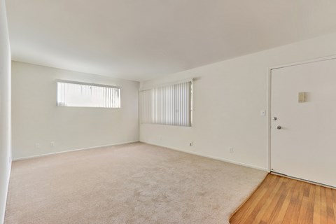 Living room with carpet flooring