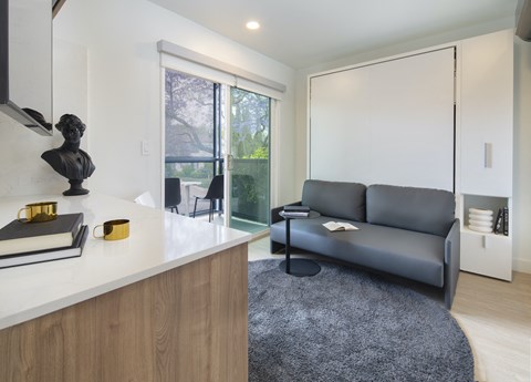 Studio with murphy bed and gray sofa at Cypress Co-Living Apartments, Los Angeles, CA