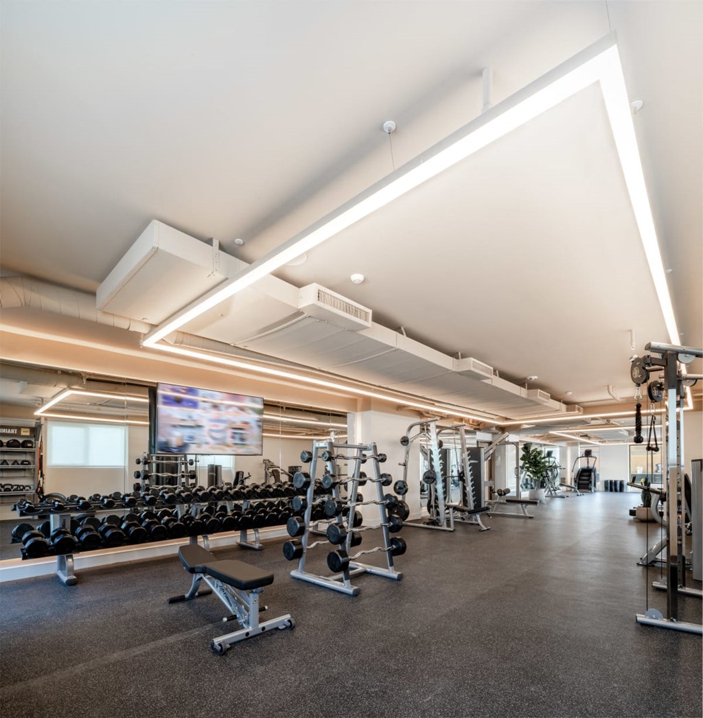 a gym with weights and a tv on the wall