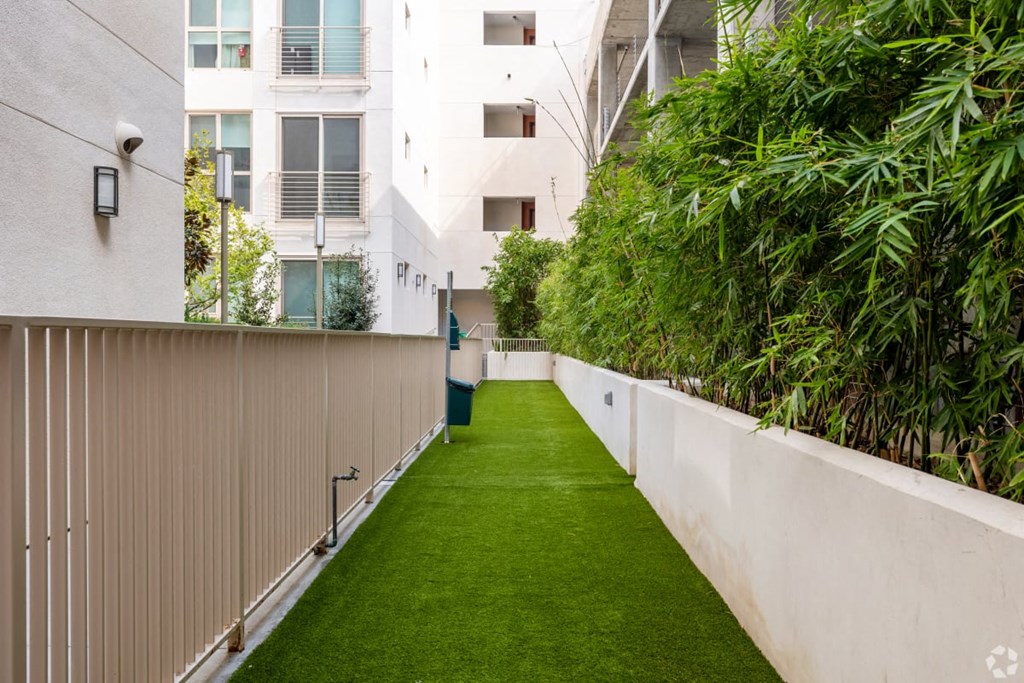 a yard with green grass and a white fence