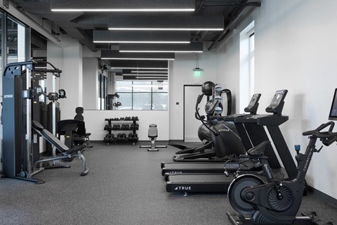 A gym with a variety of equipment including treadmills, weights, and exercise machines at Skylar At Sunset Apartments, California, 90027