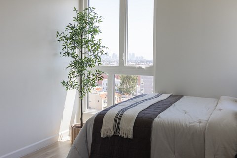 A bedroom with a bed and a plant by the window.