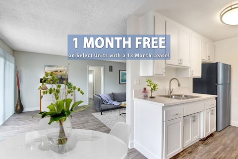 A kitchen with a 1 month free offer on select units with a 13 month lease.