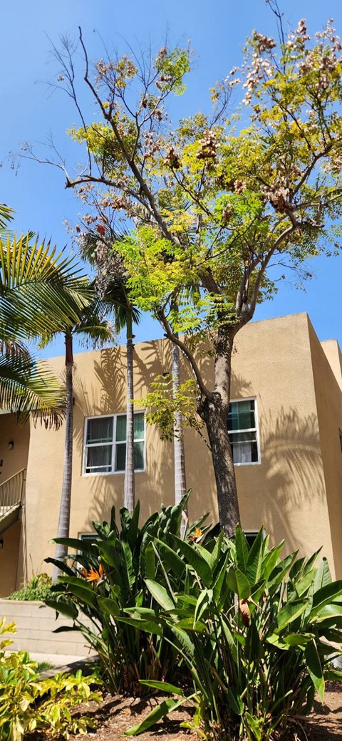 at Mission Terrace, San Diego, 92108