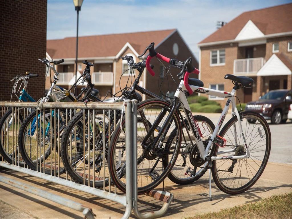 Bicycle Rack