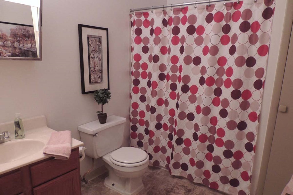 Bathroom at Country View Apartments