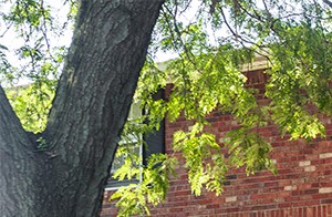 Apartment Building at Carriage House West Apartment Building Exterior at Carriage House West - Photo Gallery