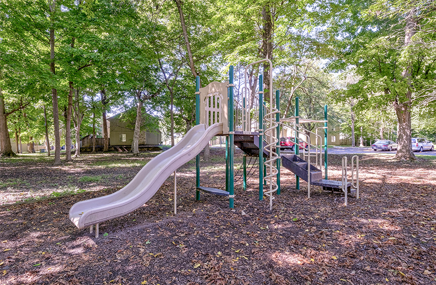 Playground equipment and slide at The Woods of Eagle Creek