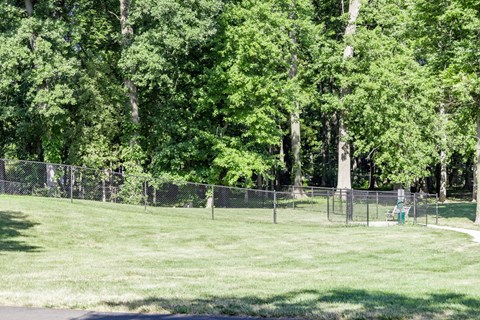 Large dog park at Woodlake Apartments
