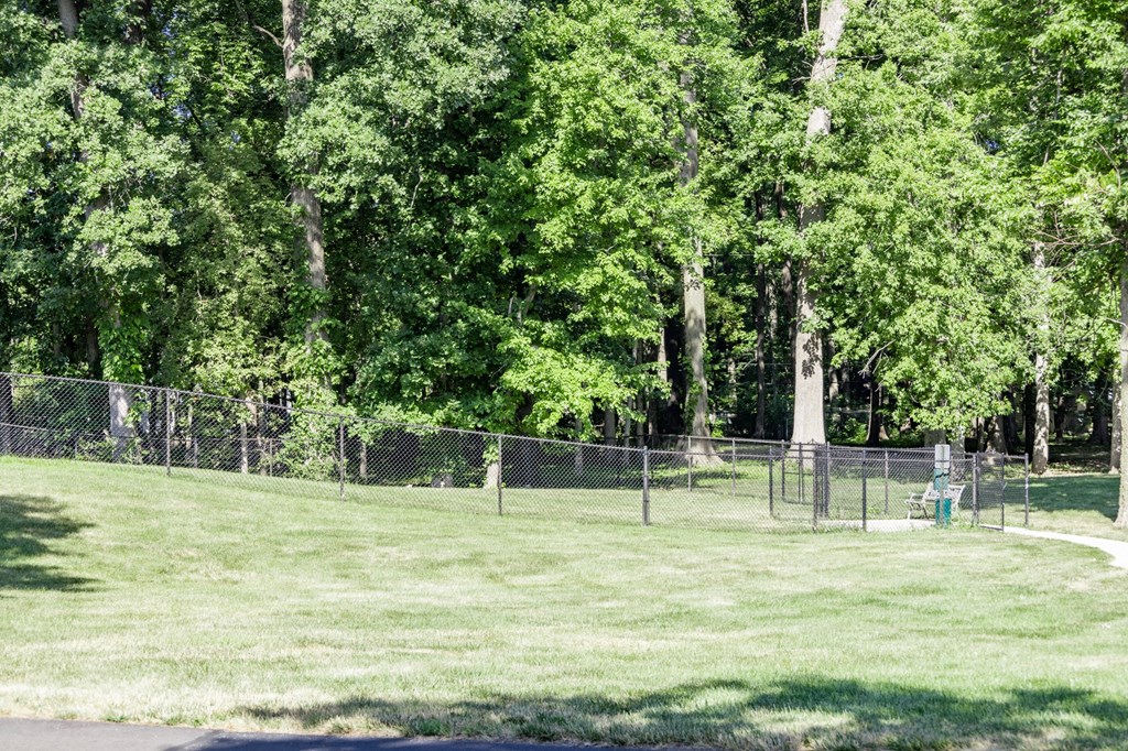 Large dog park at Woodlake Apartments