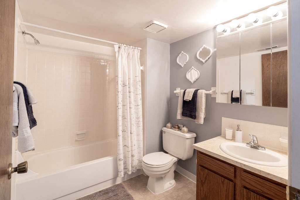 a bathroom with a shower toilet and sink and a mirror