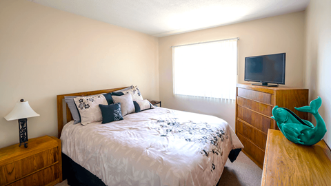 Bedroom in a one-bedroom apartment at Village Square Apartments with ample space and natural light.