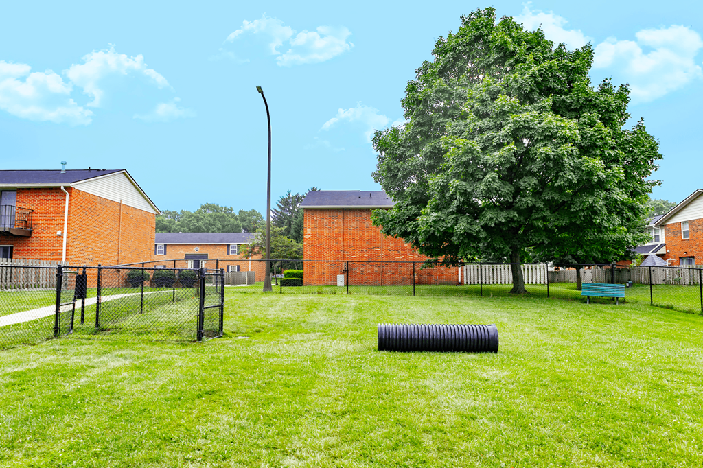 Dog park at Addison on Main