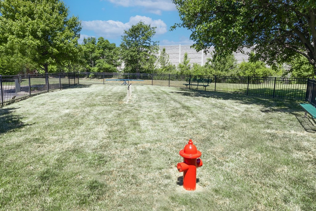 Dog park with obstacle course and seating at Archer's Pointe.