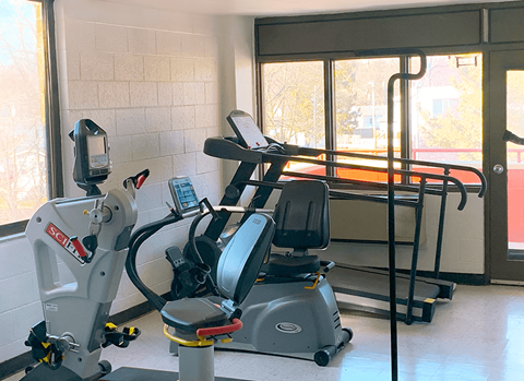 A gym with a treadmill, a stationary bike and a rowing machine.