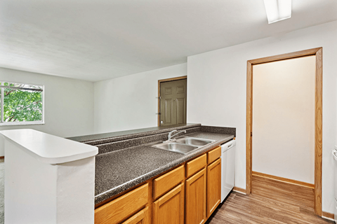 A kitchen with a sink and a window.