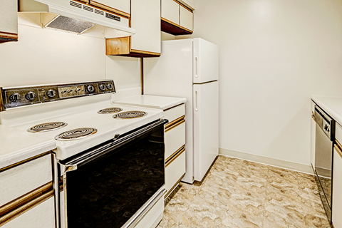 Kitchen appliances in a 1-bed, 1-bath apartment at Thompson Village, including an electric coil range, refrigerator, and dishwasher.