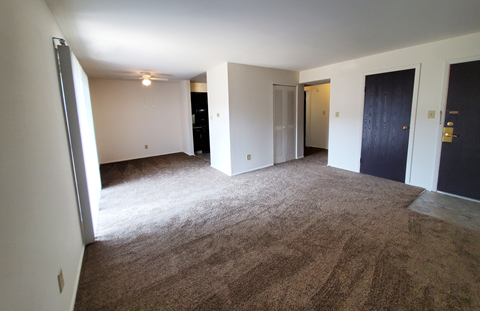 an empty living room with carpet and a door to a closet