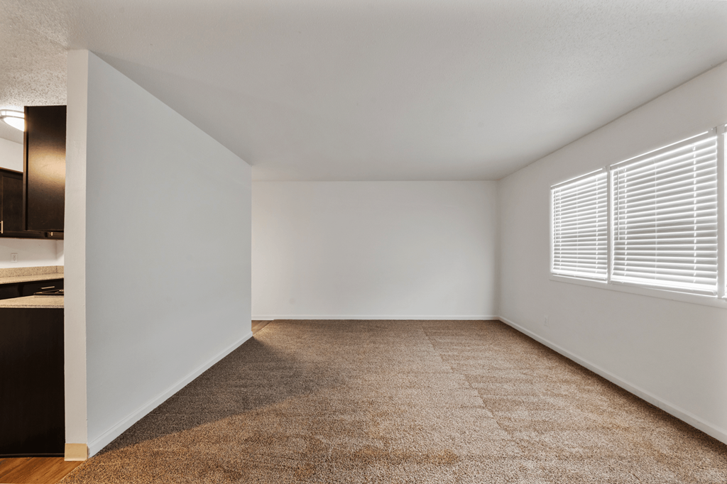 Living room in a 2-bedroom, 1-bathroom apartment featuring large windows and carpeted floors at Country View Apartments.