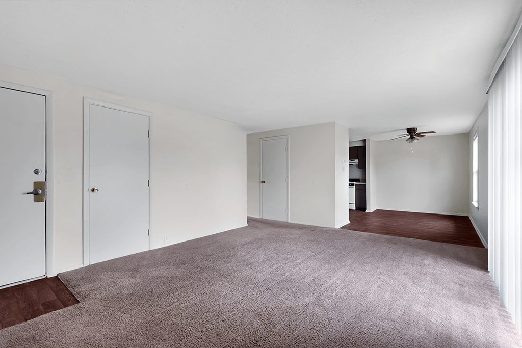 Open living and dining area in a 1-bed, 1-bath apartment at Mount Vernon.