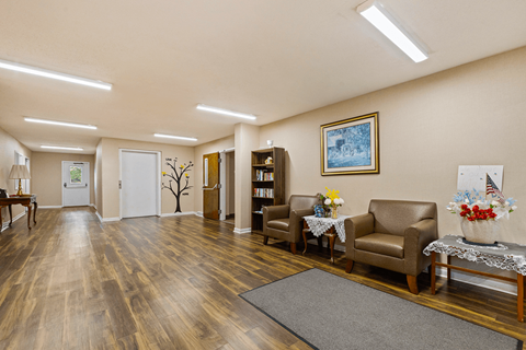 A living room with brown chairs and a grey rug.