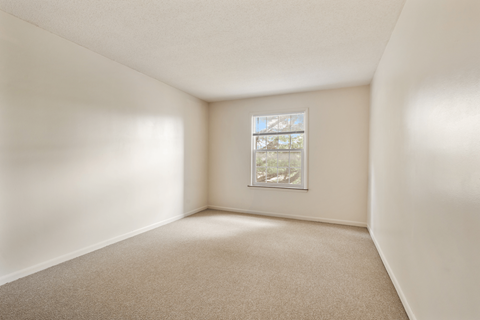 A room with a carpeted floor and a window showing a view of trees.