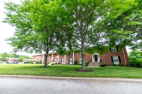 A tree in front of a brick house.