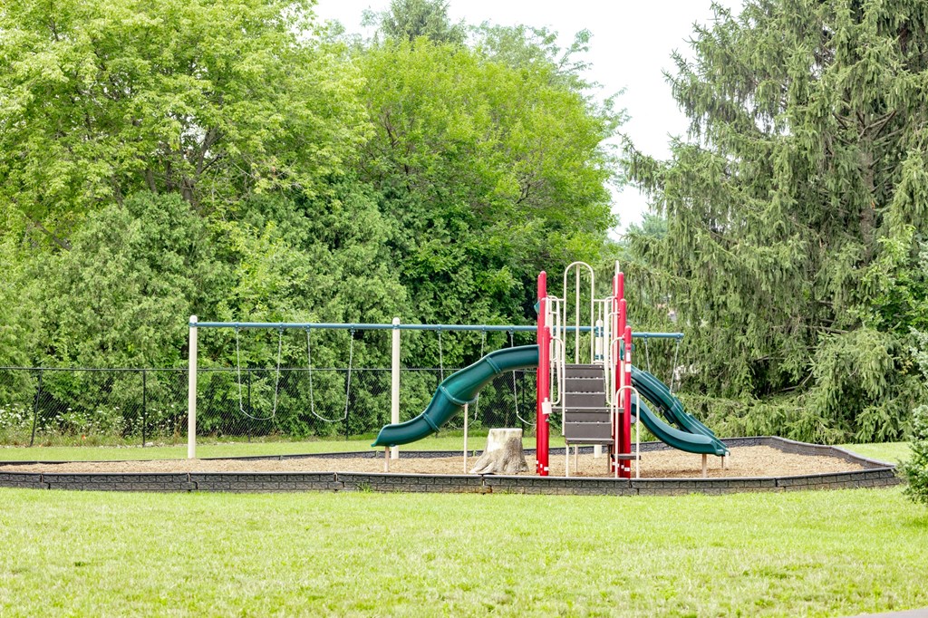 a playground with a slide and a dog