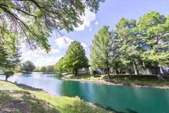 Tranquil pond with mature landscape at Woodlake Apartments - Photo Gallery 6