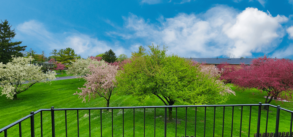 Spring season view from the balcony of a yard with trees and a building in the background at Ashmore Trace.