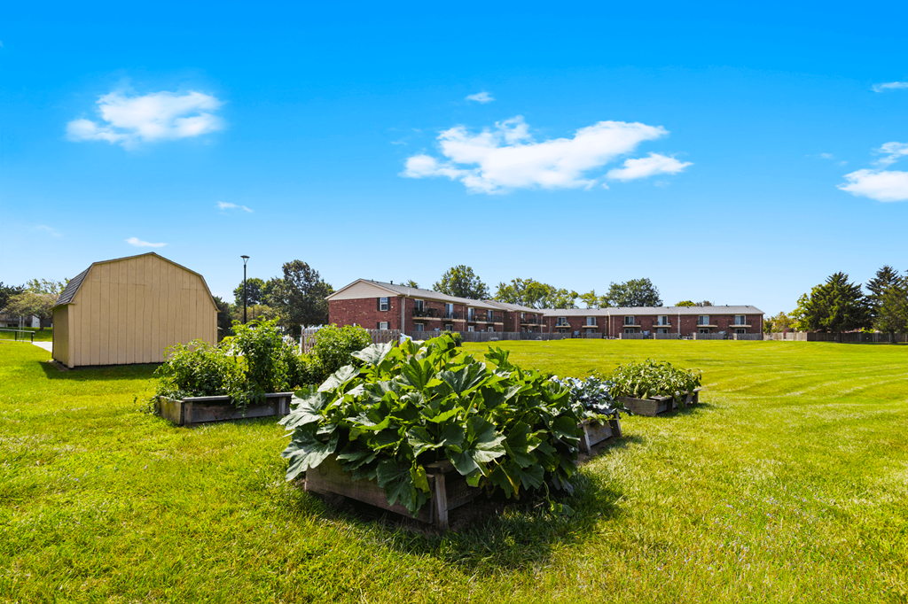 Vegetable garden at Briarwood Apartments in Lafayette, featuring a variety of thriving plants in raised garden beds.