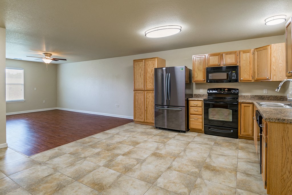 Kitchen and Living Area