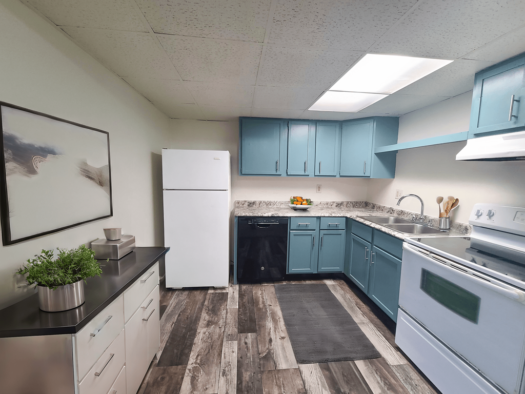 A kitchen with a white fridge and a black dishwasher.