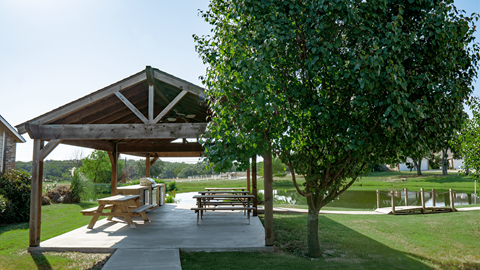 a picnic pavilion with benches and trees in a park