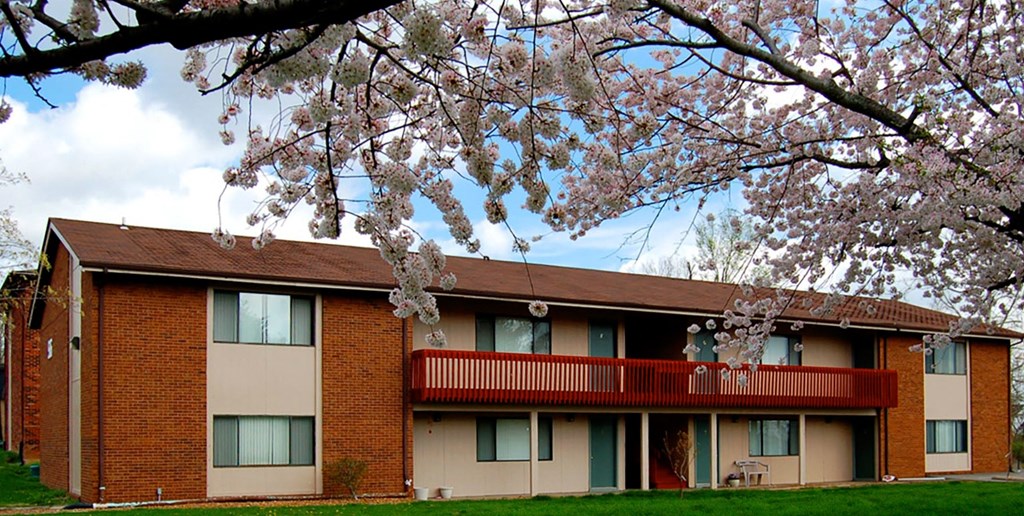 our apartment building in the spring with cherry blossoms